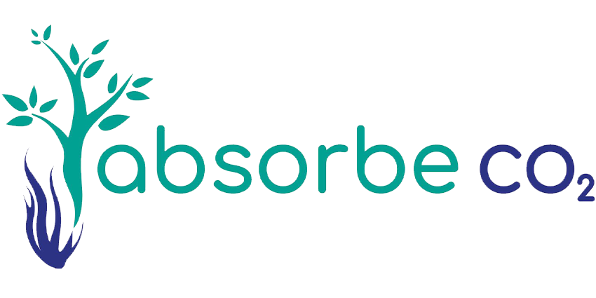 Absorbe CO2
